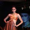 Model walks the ramp for Waman Hari Pethi Jewellery show at Novotel