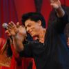 Shah Rukh Khan dancing on NDTV Greenathon that took place at Yash Raj Studio