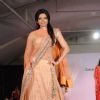 Shama Sikanderwalk the ramp for Shaina NC and Manish Malhotra at the Pidilite-CPAA charity fashion show