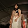 Vidya Malvade walk the ramp for Shaina NC and Manish Malhotra at the Pidilite-CPAA charity fashion