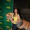 Celebs at Rainforest restaurant and Bar launch in Andheri