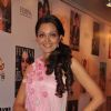 Celebs at launch of Femina TV Commercial at Le Sutra Bandra
