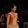 Models walk on the ramp for Sawan Sukha at IIJW 2011 show day 3. .