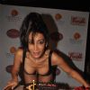 Pakistani origin Sofia Hayat celebrates her birthday with bikini photo shoot at Hotel Peninsula Grand in Mumbai