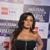 Rakhi Sawant at Big Star Entertainment Awards at Bhavans Ground in Andheri, Mumbai