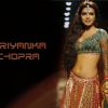 Priyanka Chopra : Priyanka Chopra