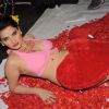 Madhavi Sharma valentine photo shoot in Shivas Studio on 7th Feb 2012. .