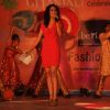 Shibani Kashyap at GR8! Fashion Walk for the Cause Beti by Television Sitarre