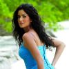 Katrina Kaif : Katrina Kaif