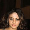 Sneha Ullal : Sneha Ullal