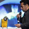 Bigg Boss Season 6 Salman Khan at Triden