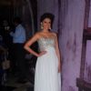 Aditi Rao Hydari looked glamourous at the Fund Raising Event - Uff Yoo Maa