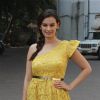 Evelyn Sharma at the Annoucement of Nyuzmakers Cricket Challenge 2014