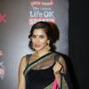 Sophie Chowdhary was at the 20th Annual Life OK Screen Awards
