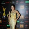 Sunny Leone was seen at the 9th Star Guild Awards