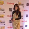 Dia Mirza was at the 59th Idea Filmfare Awards 2013