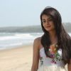 Surveen Chawla | Hate Story 2 Photo Gallery