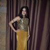 Sona Mohapatra poses for the media at Etihad Jet Collaboration Event
