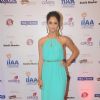 Krystle D'souza was at International Indian Achiever's Award 2014