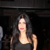 Shibani Kashyap poses for the media at the Music Launch of Plot 666- Restricted Area
