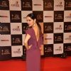 Celina Jaitly shows off at the Indian Telly Awards