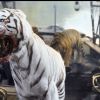 Roar: Tigers of the Sundarbans