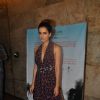 Kangana Ranaut was at the Documentary Screening of After My Garden Grows
