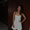 Vaani Kapoor was seen at the Special Screening of Kill Dil