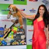 Rashmi Nigam at Hobby iDEAS Children's Day Celebrations