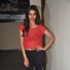 Manasvi Mamgai poses for the media at the Special Screening of Action Jackson