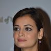 Dia Mirza was at the Advertising Council of India Event