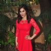 Sophie Choudry : Sophie Choudry
