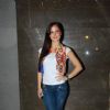 Elli Avram poses for the media at the Press Meet of Solid Patels