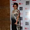 Tisca Chopra poses for the media at the Red Carpet of 'Mijwan-The Legacy'