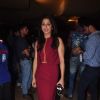 Krishika Lulla at Screening of Tanu Weds Manu Returns
