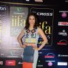 Lauren Gottlieb poses for the media at the Premier of Dil Dhadakne Do at IIFA 2015