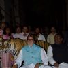 Amitabh Bachchan Announced as the Ambassador of Save The Tiger Campaign