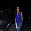 Katrina Kaif Attends Special Screening of Phantom