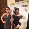 Amy Jackson : Amy Jackson at Singh is Bling Press Meet
