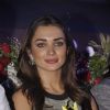 Amy Jackson at the Special Screening of Singh is Bling
