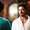 Shah Rukh Khan : Shah Rukh Khan in the movie Dilwale