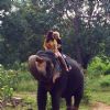 Amy Jackson : Amy Jackson's Elephant Ride