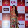 Krissann Barretto at Indian Telly Awards
