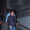 SRK t Special Screening of Dilwale
