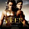 Poster of Veer movie with Salman and Lisa | Veer Posters