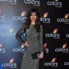 Karishma Tanna at Colors TV's Red Carpet Event