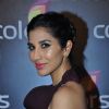 Sophie Choudry at Colors TV's Red Carpet Event