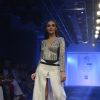 Amy Jackson Walks the ramp at Lakme Fashion Show 2016 - Day 5