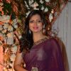 Drashti Dhami at Karan - Bipasha's Star Studded Wedding Reception