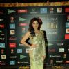 Kanika Kapoor at Star Studded 'IIFA AWARDS 2016'